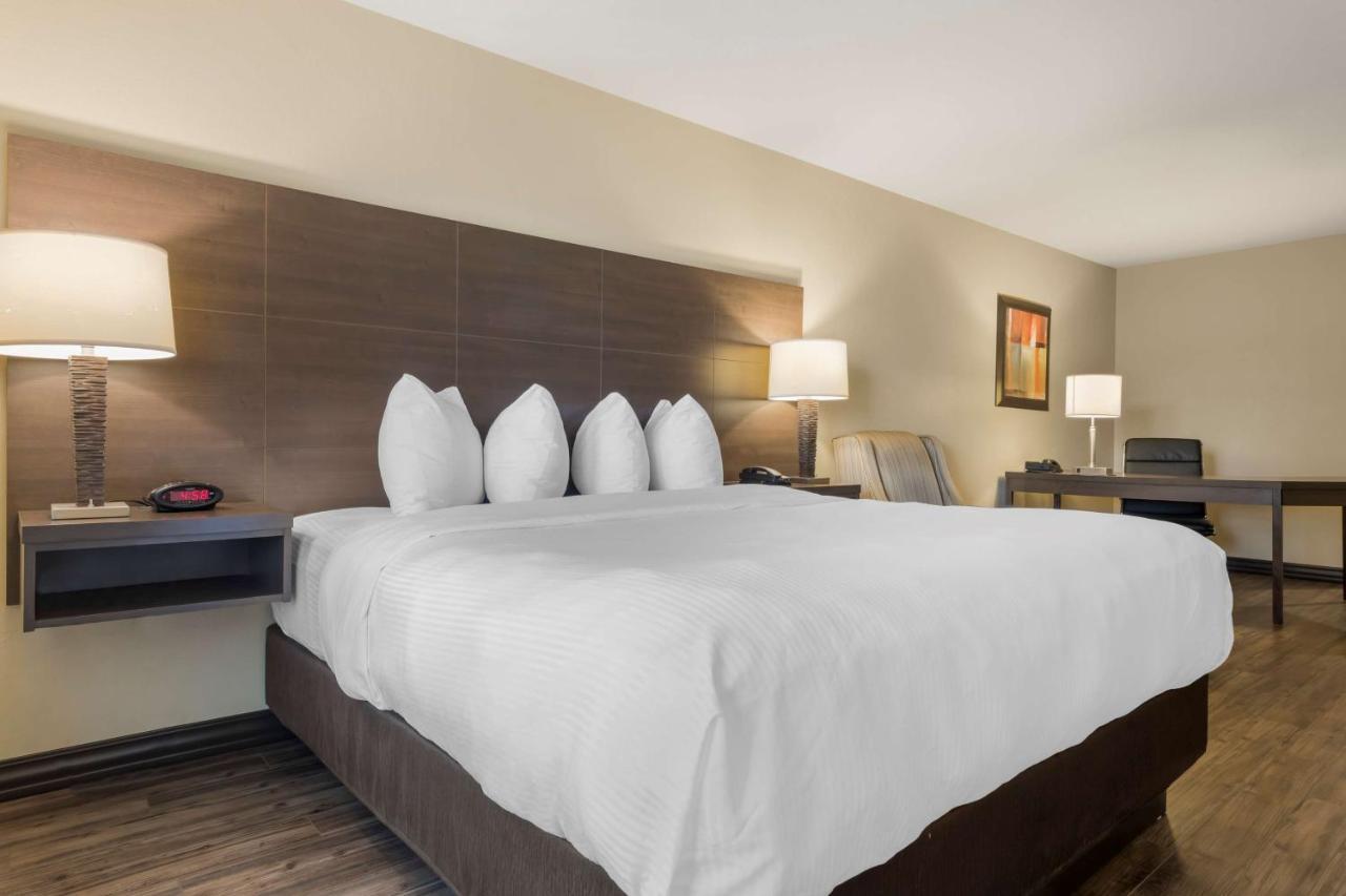 Best Western Plus Saint John Hotel & Suites Exterior photo